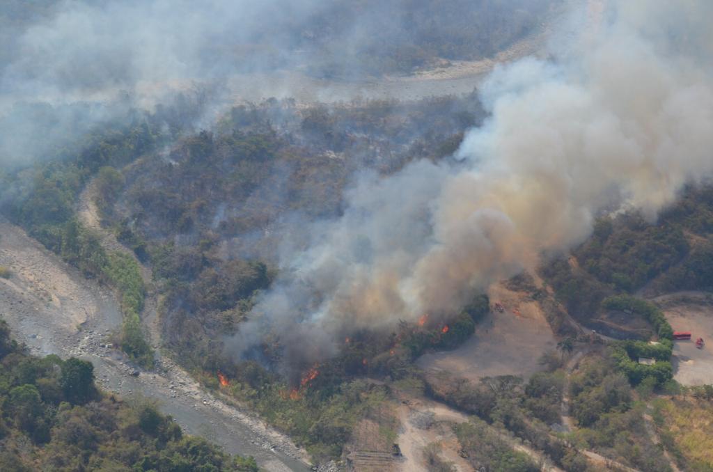 Incendios forestales han arrasado 120 mil hectáreas en el país FAC