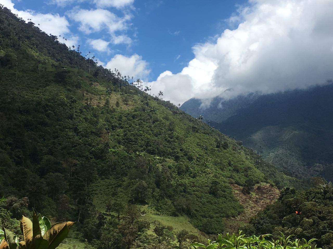 Invaden Predios De Parque Nacional Natural Las Hermosas Seg N