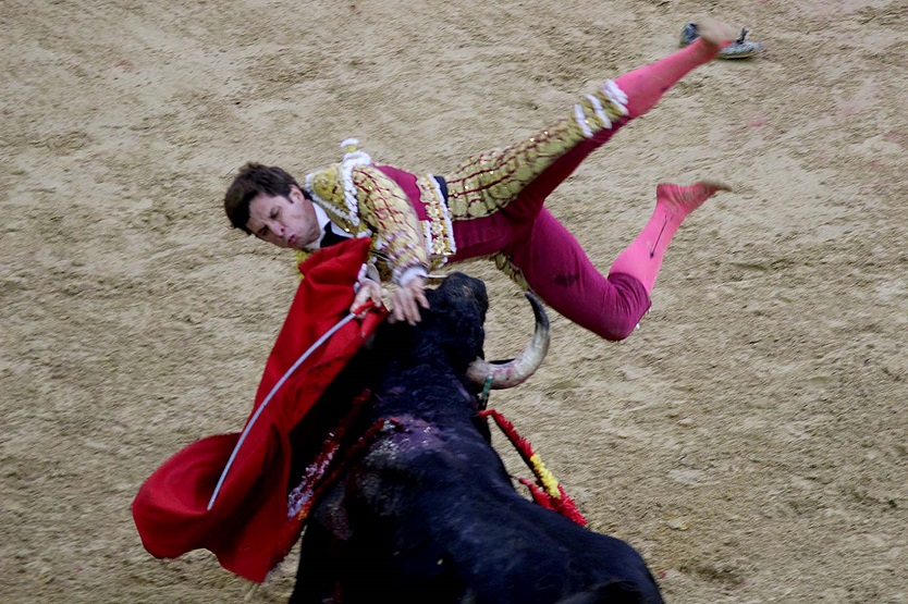 Toros Toros