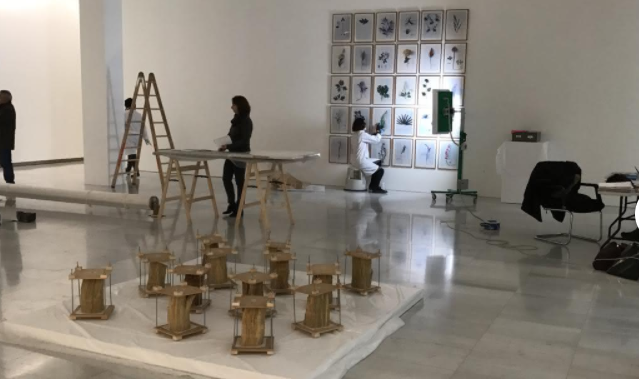 Museo del Banco de la República Montaje exposición Campo a través