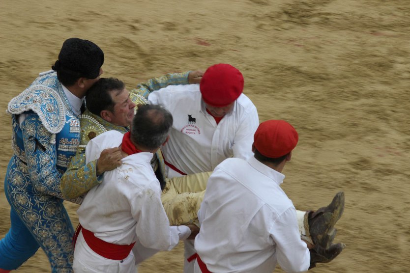 Toros Toros
