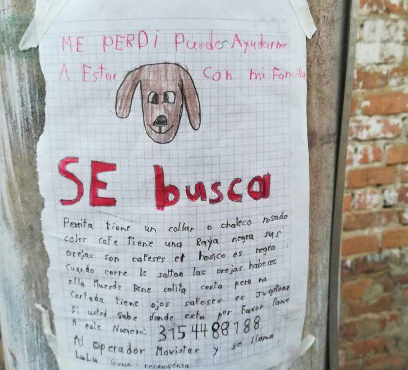 perrito Perrito