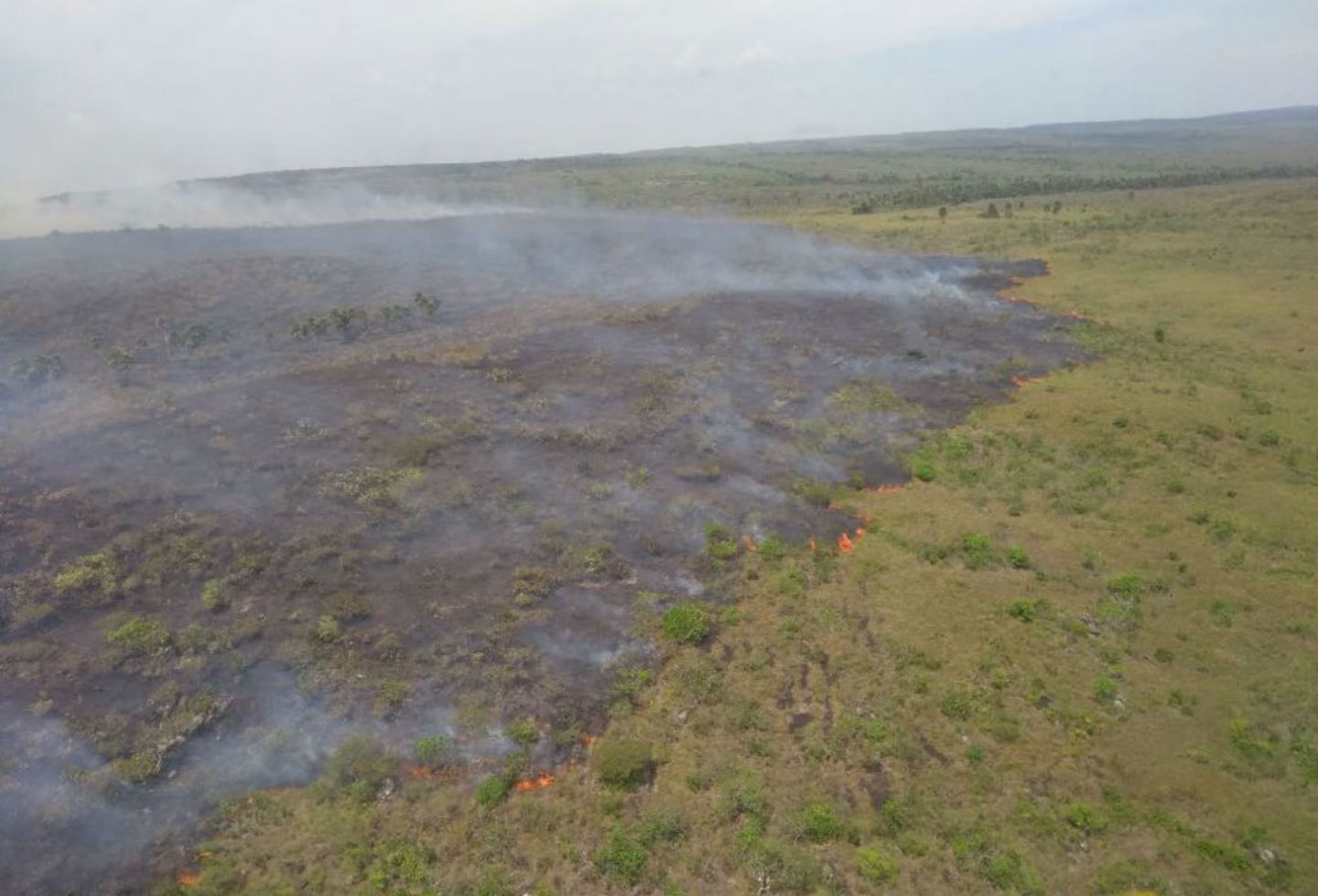 Incendio en Parque Nacional La Macarena Incendio en Parque Nacional La Macarena