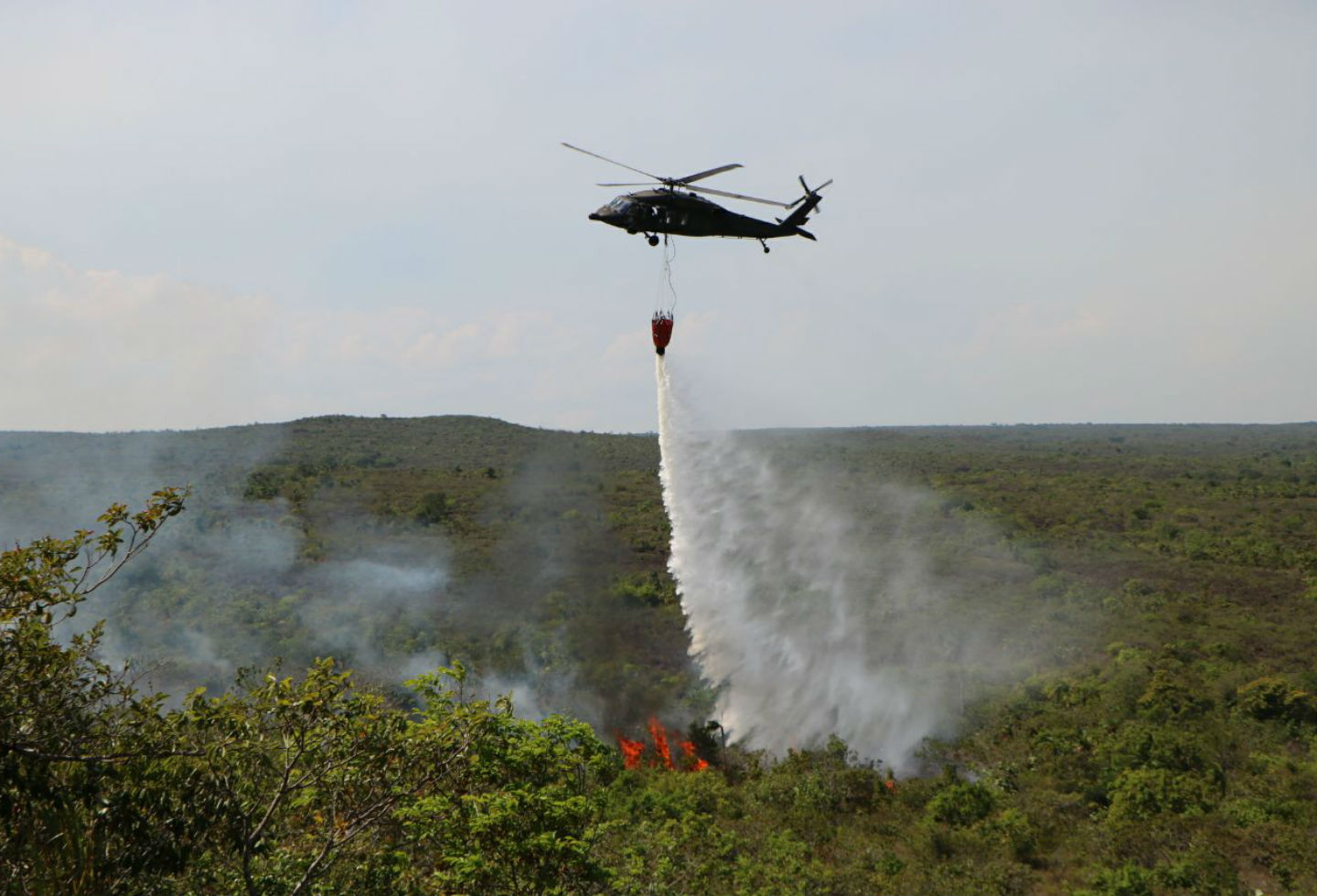 Incendio en Parque Nacional La Macarena Incendio en Parque Nacional La Macarena
