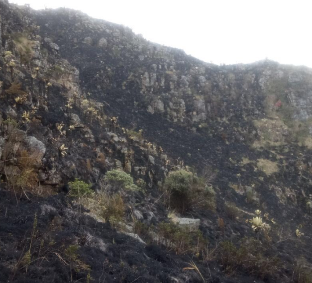 Incendio en Páramo de Boyacá Incendio en Páramo de Boyacá