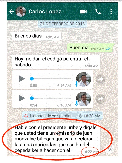 Chat Caliche