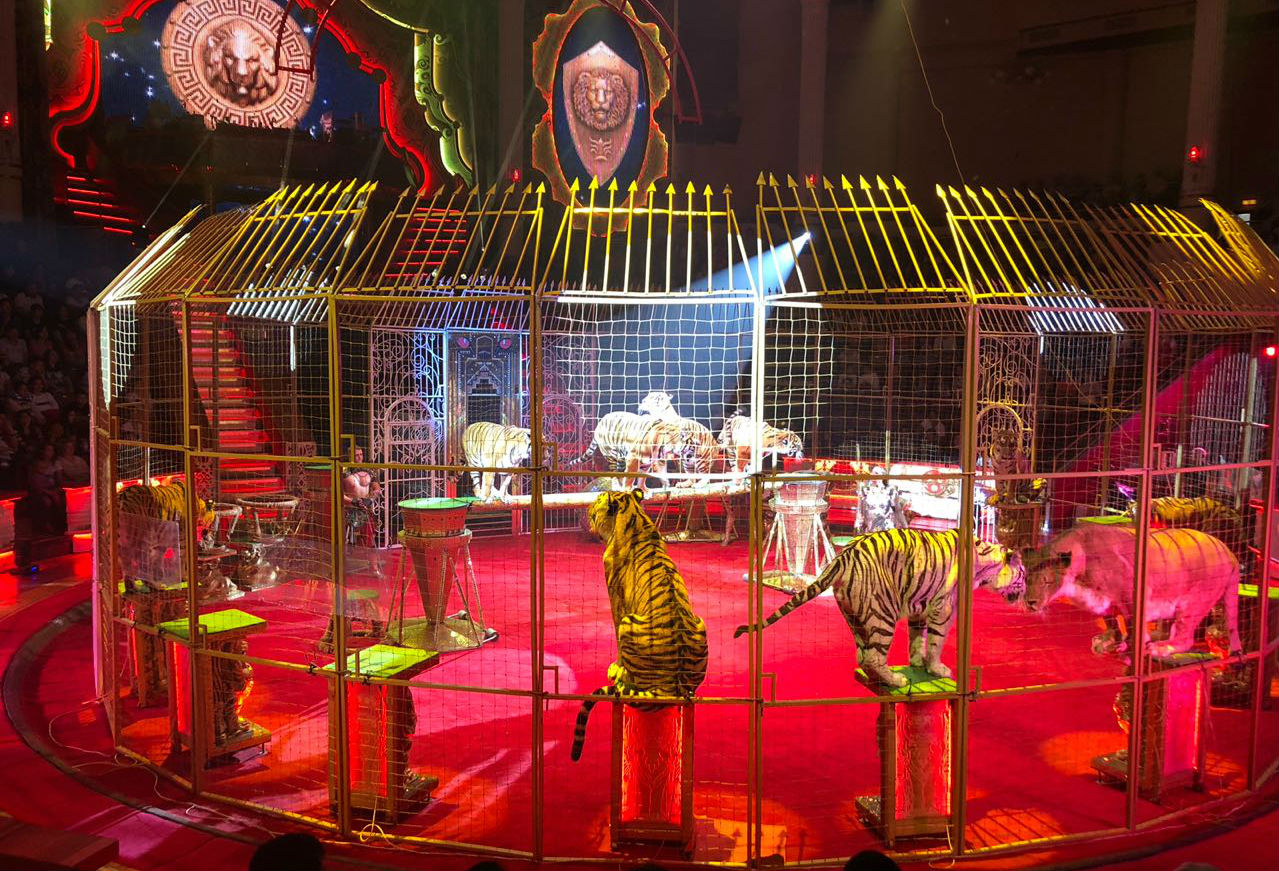 Circo ruso 04