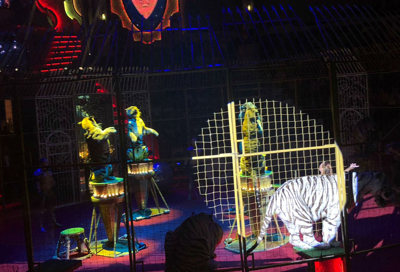 circo ruso 07