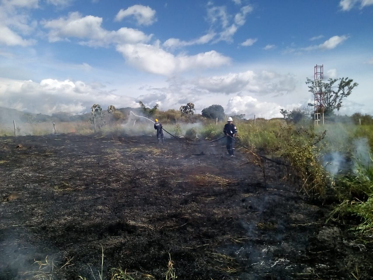 Se Registran Tres Incendios Forestales Activos En Colombia Rcn Radio