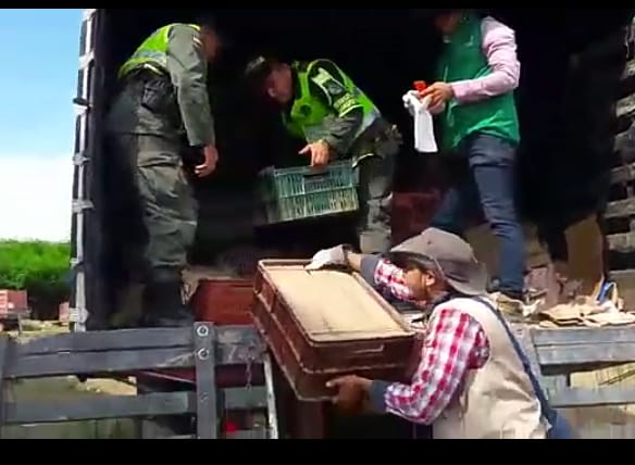 Foto cortesía Policía Nacional