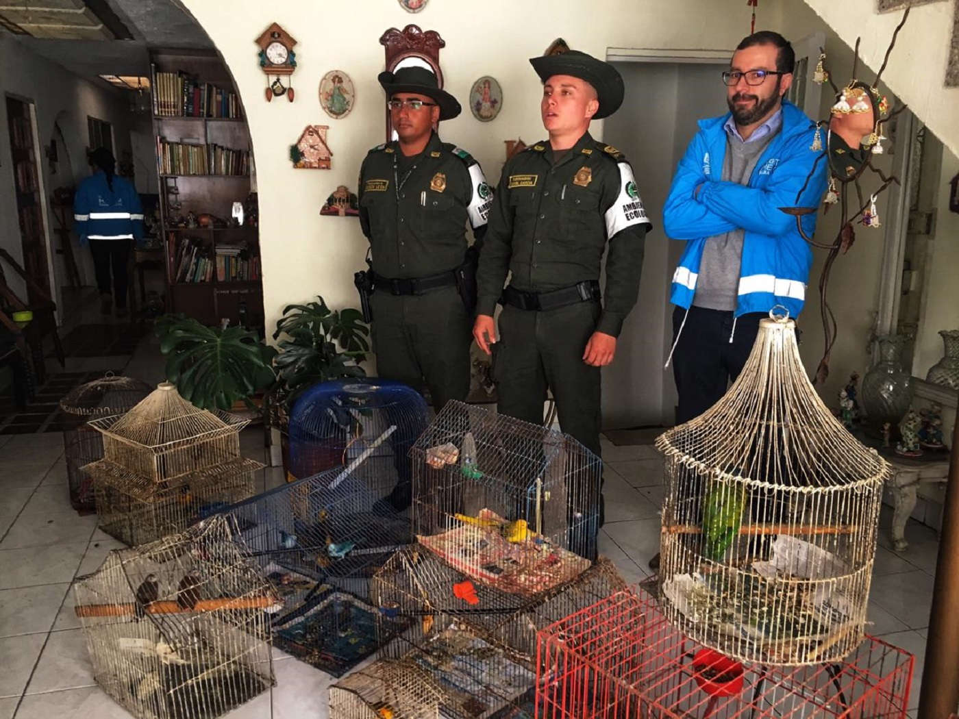 Estas aves fueron recuperadas en el occidente de Bogotá