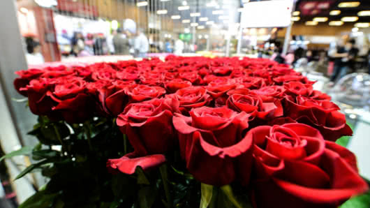 En 12 municipios de Boyacá, se cultivan rosas de calidad de exportación