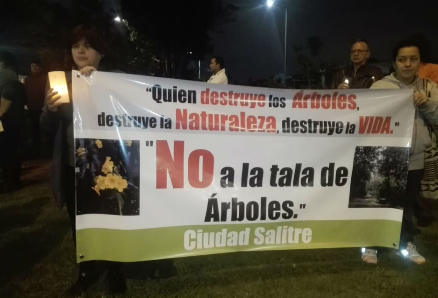 Protesta por tala de árboles en Bogotá