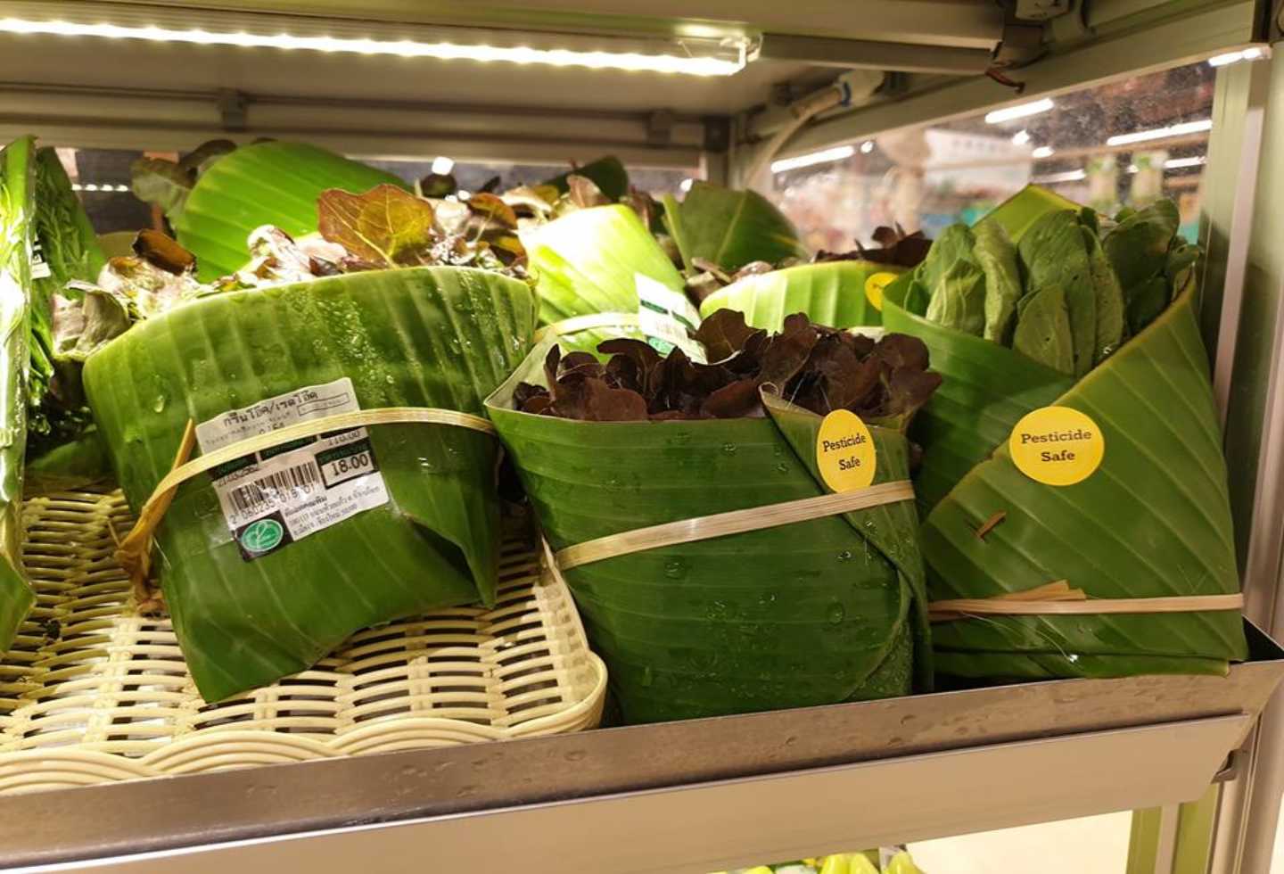 Hojas de plátano