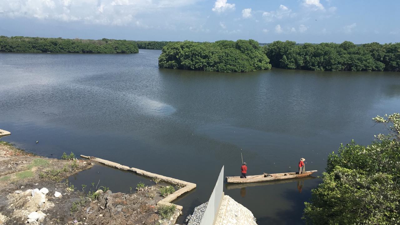 Cuerpo lagunar del Magdalena