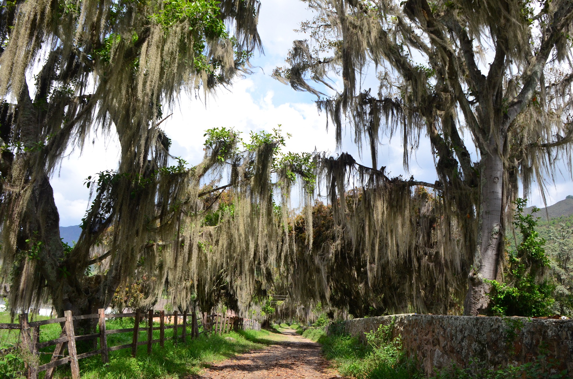 Hacienda Cuernava