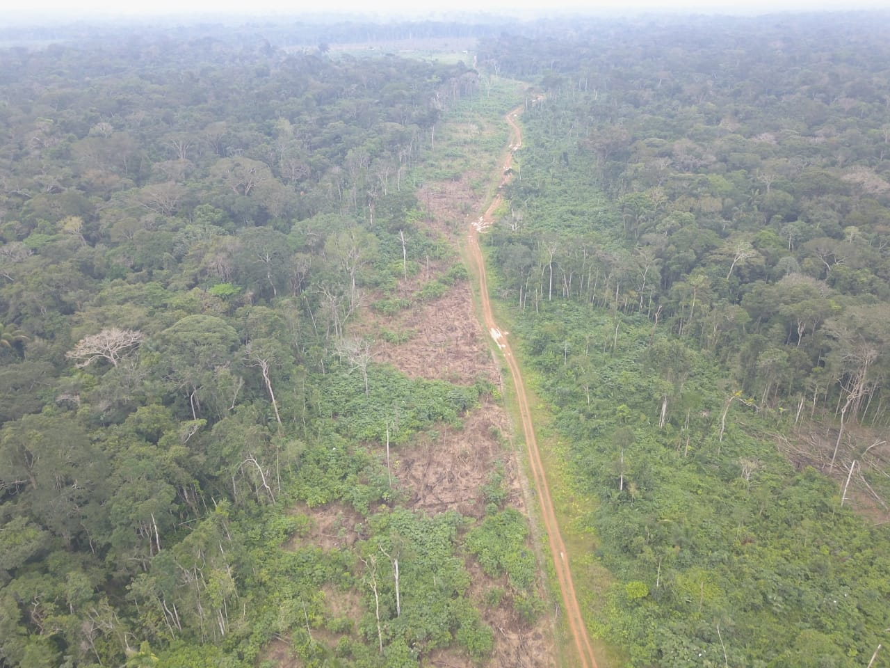 Deforestación Amazonas