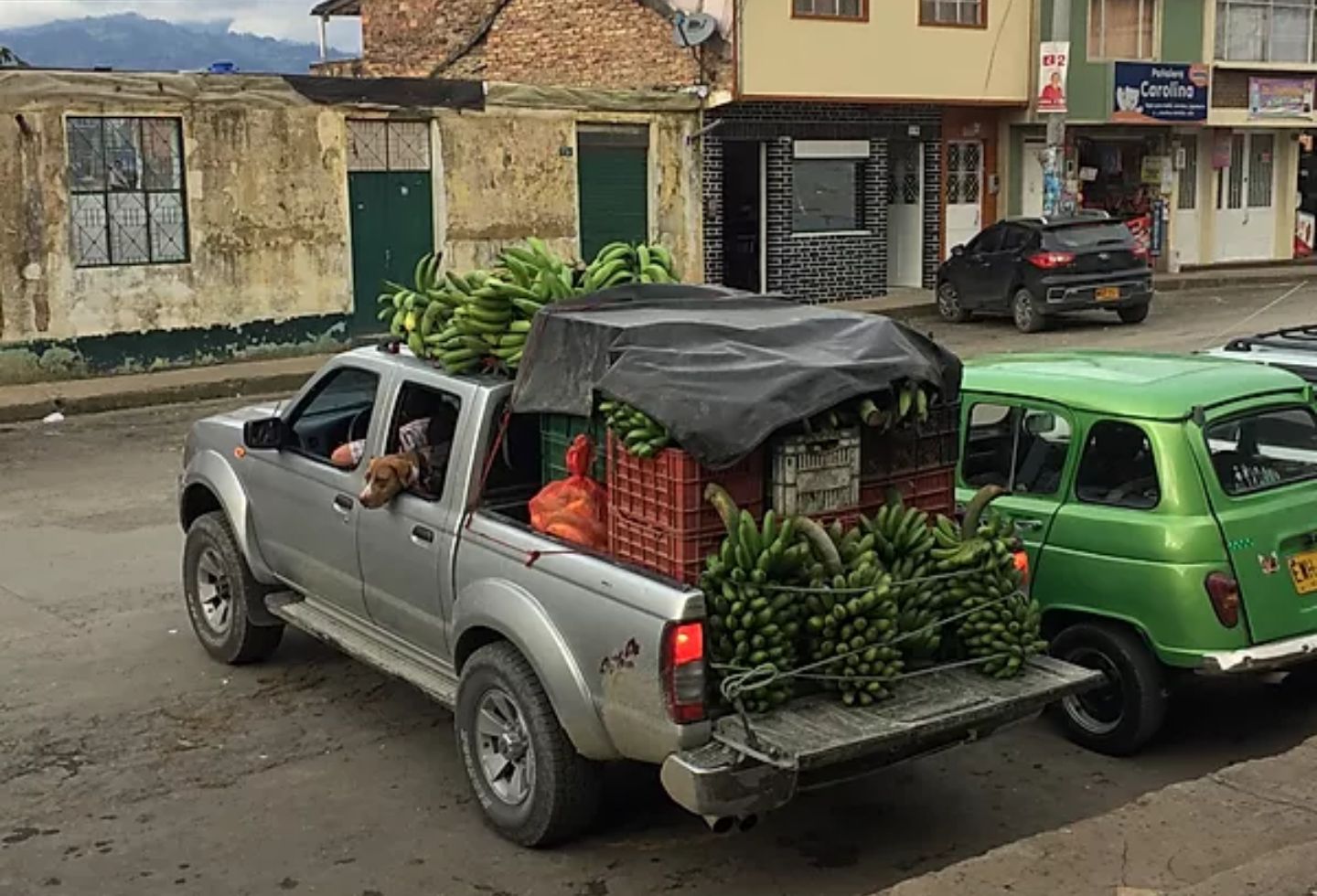 A pesar de que el plátano es una pieza fundamental para la seguridad alimentaria de las familias de los productores en Pacho, algunos optan por comercializarlo en la Plaza de Mercado del municipio.