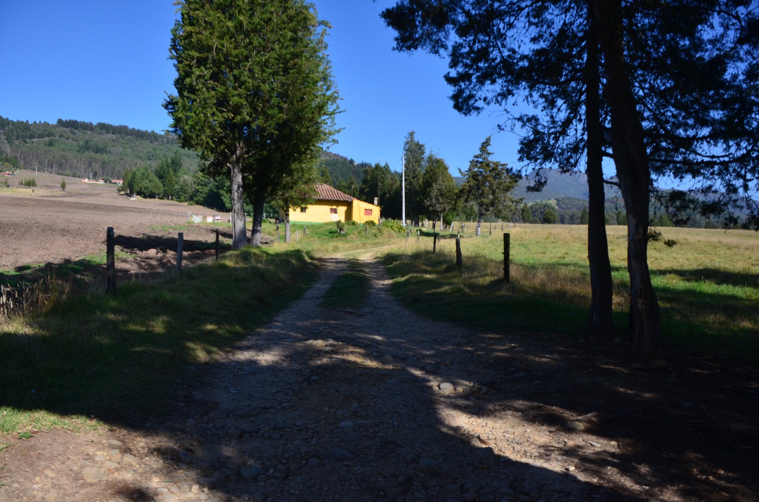 Finca Sanclemente