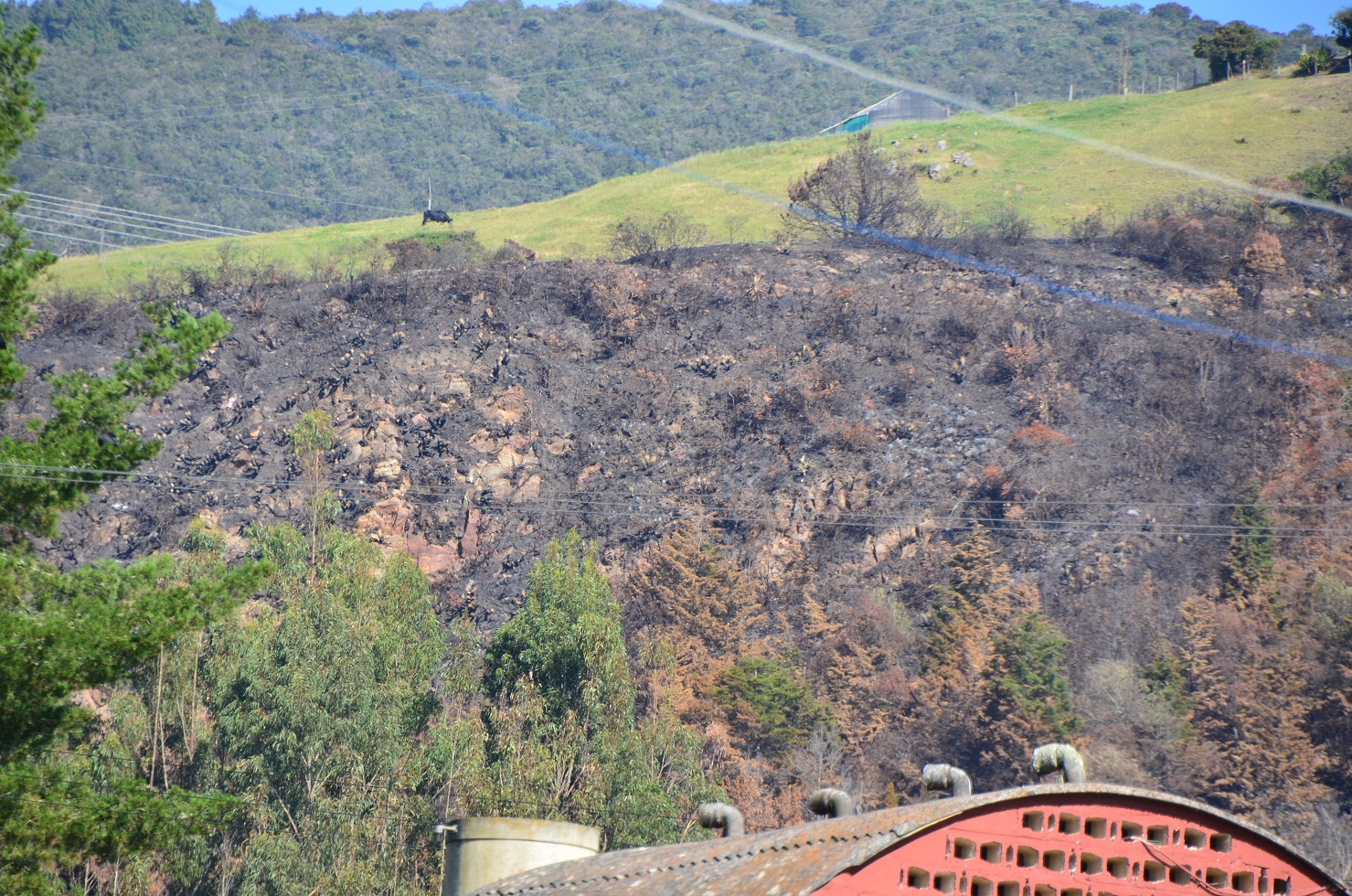 Incendios Forestales