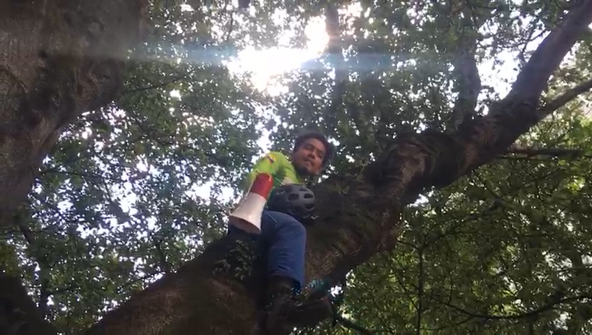 titulo