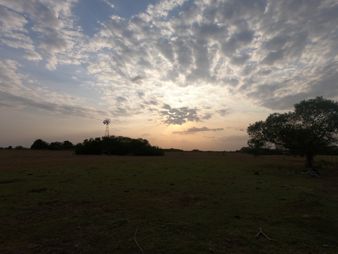 Amanecer en Casanare, Orinoquia Colombiana.