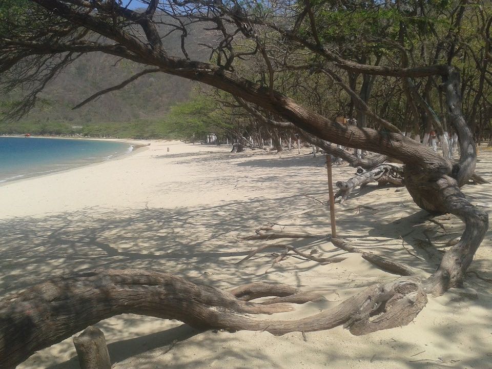 Bahía Concha, Parque Tayrona.