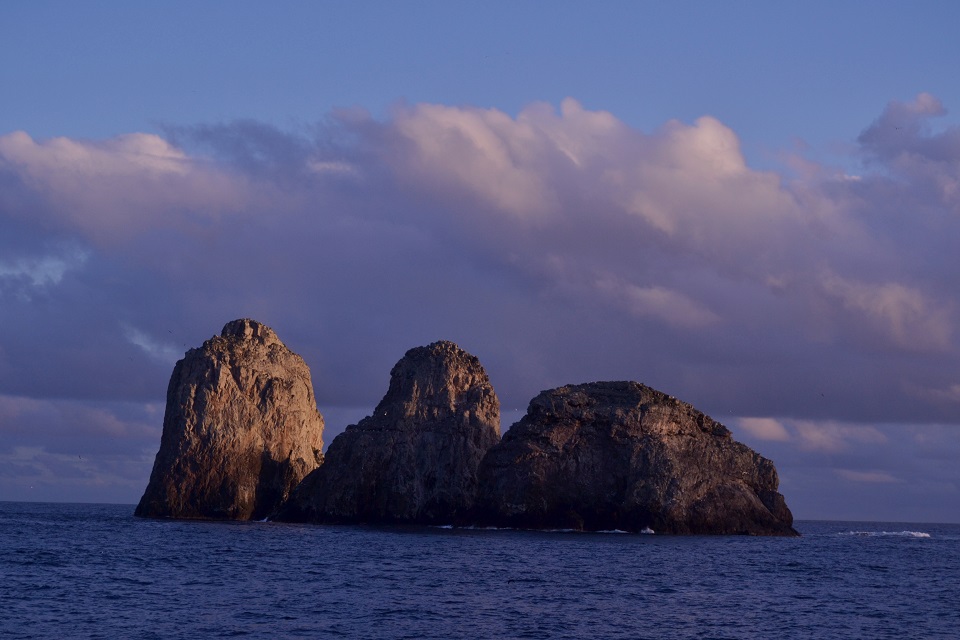 Santuario de Fauna y Flora Malpelo.