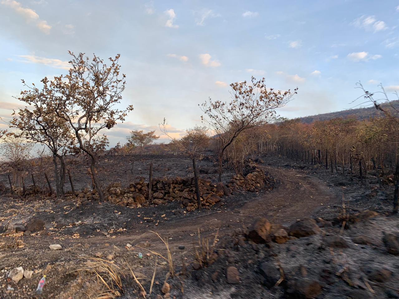 Incendio