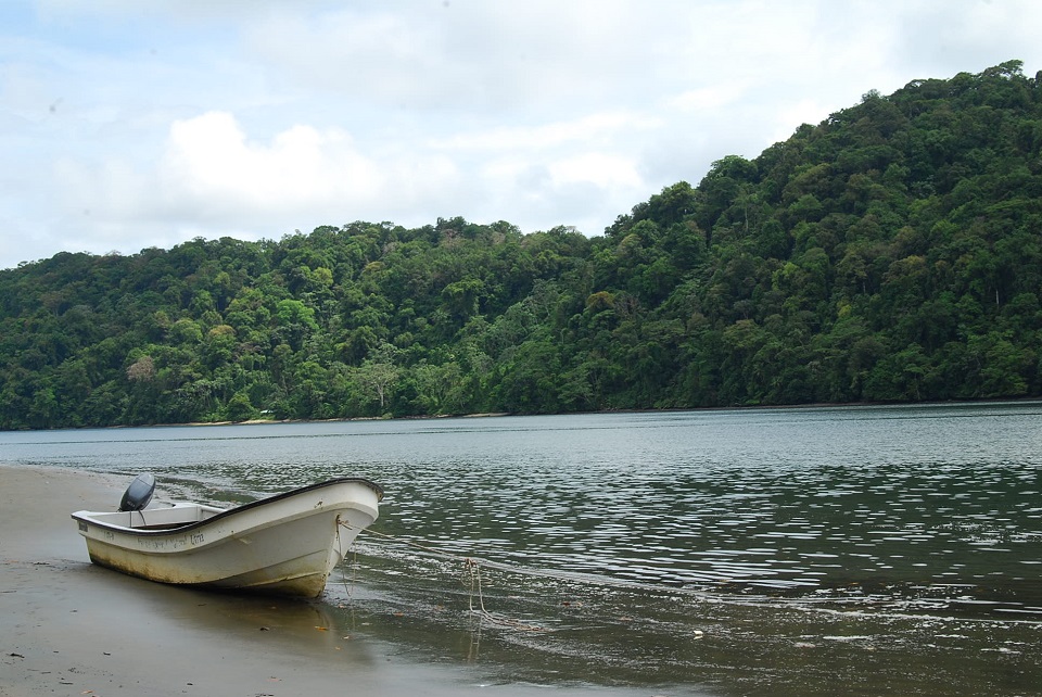 Parque Nacional Utría en Chocó.