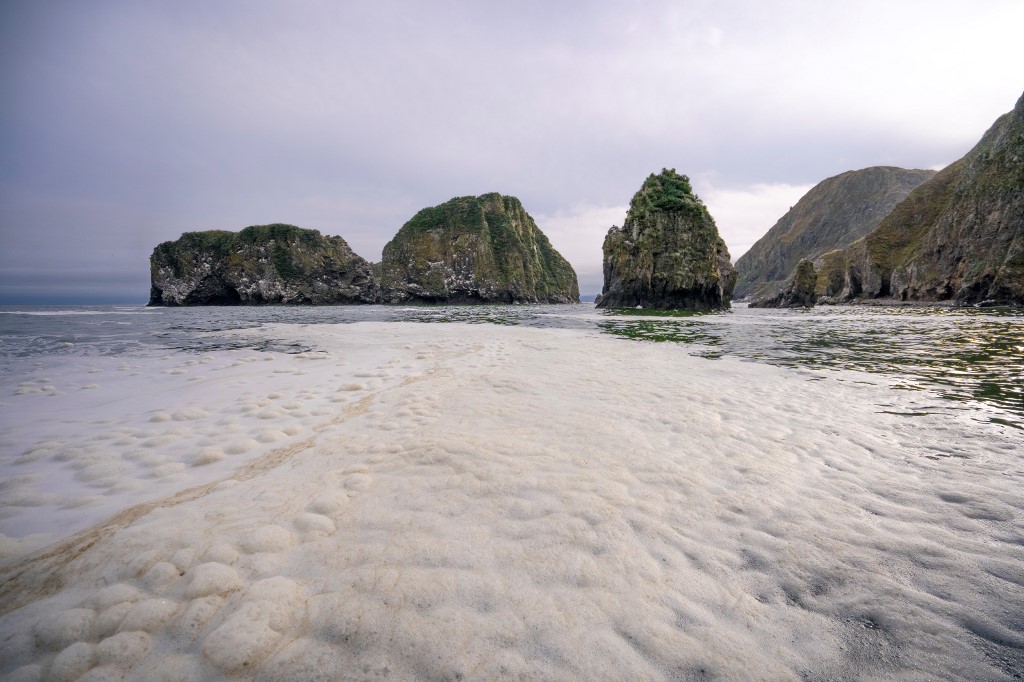 Contaminación en el mar