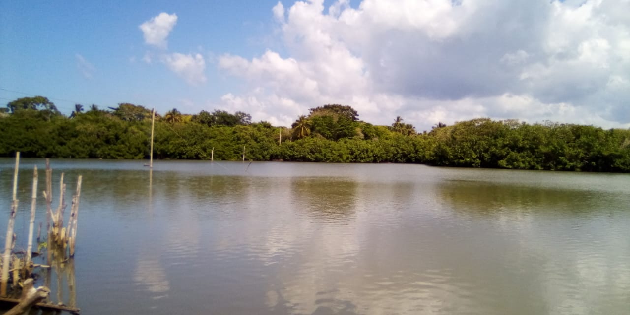 RIncón del Mar en Sucre