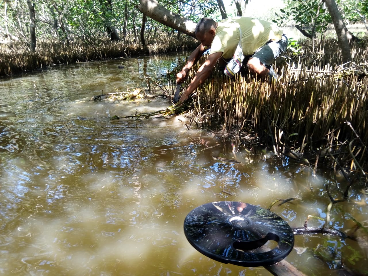 Ciénaga en el Caribe colombiano