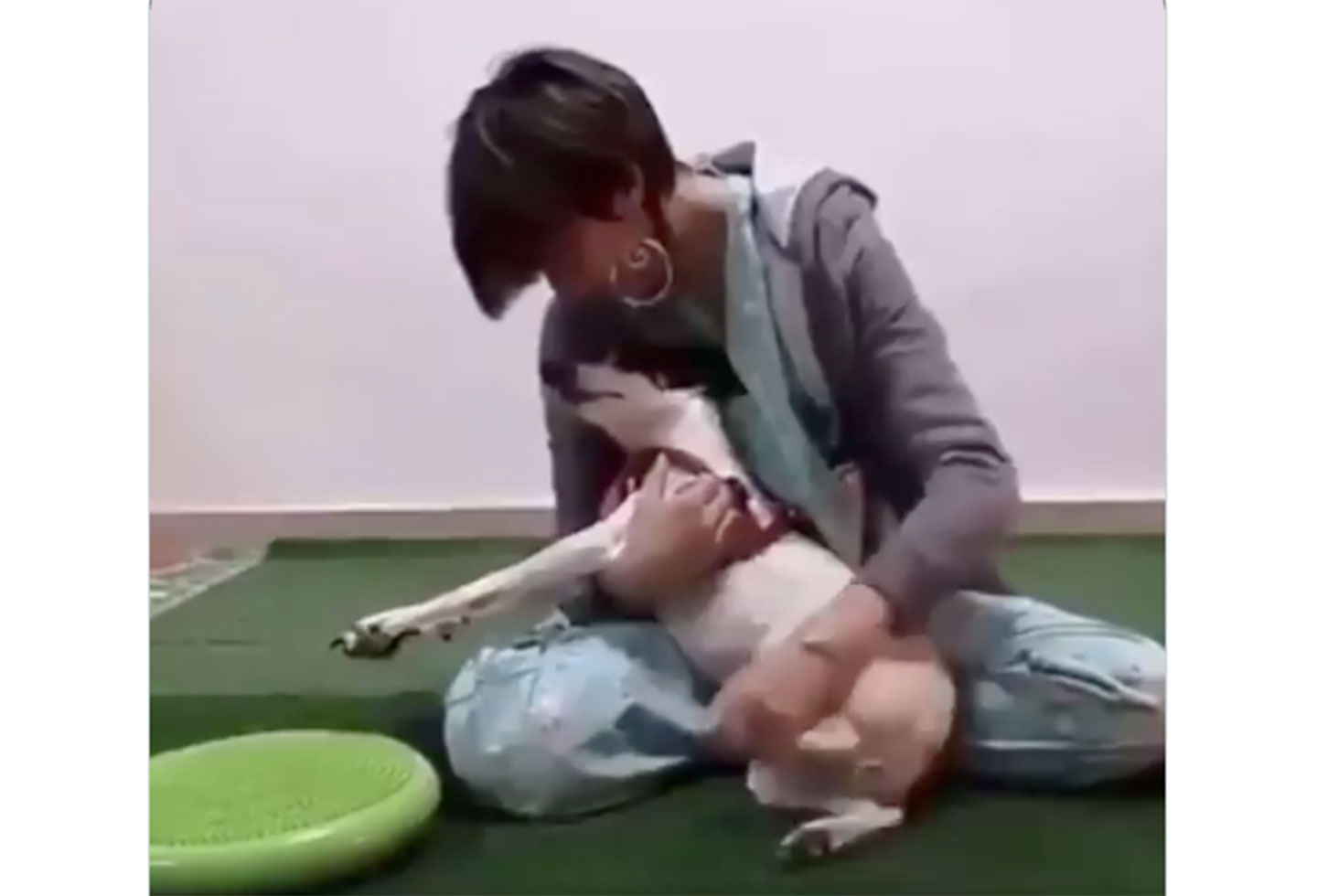 Perrita rehabilitada