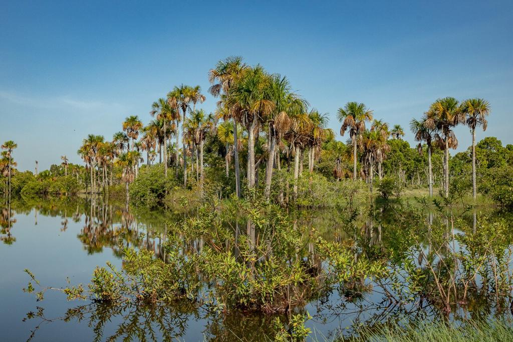 La cuenca del río Tillavá abarca cerca de 3.000 kilómetros cuadrados del municipio de Puerto Gaitán (Meta).