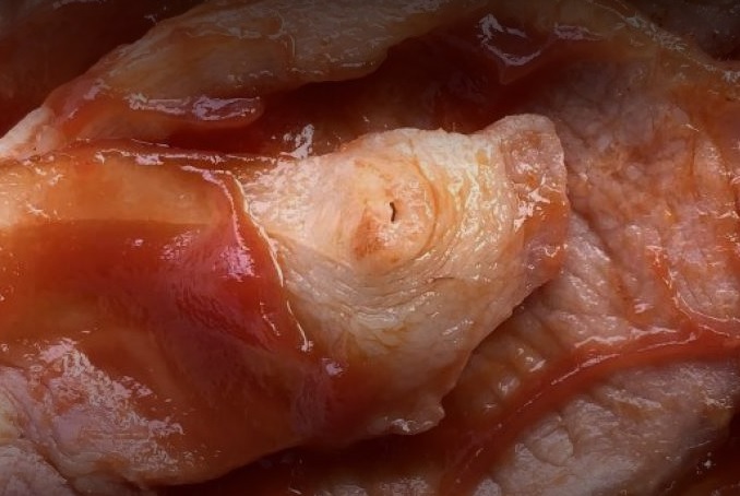 Pezón de cerdo