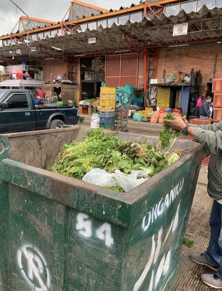 Legumbres en contenedores en buen estado