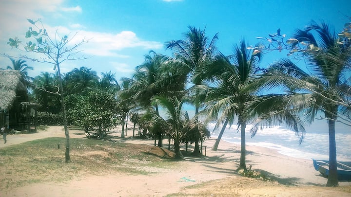 Playa la punta de los Remedios Playa la punta de los Remedios
