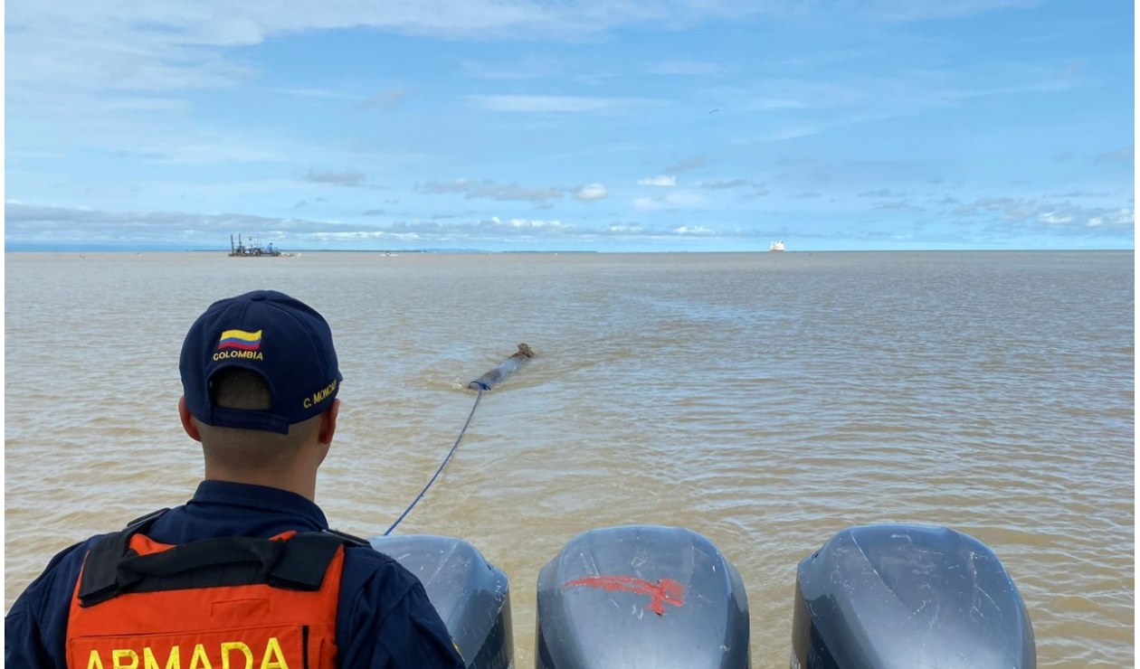 Armada Colombia rescata a Jaguar en medio del mar