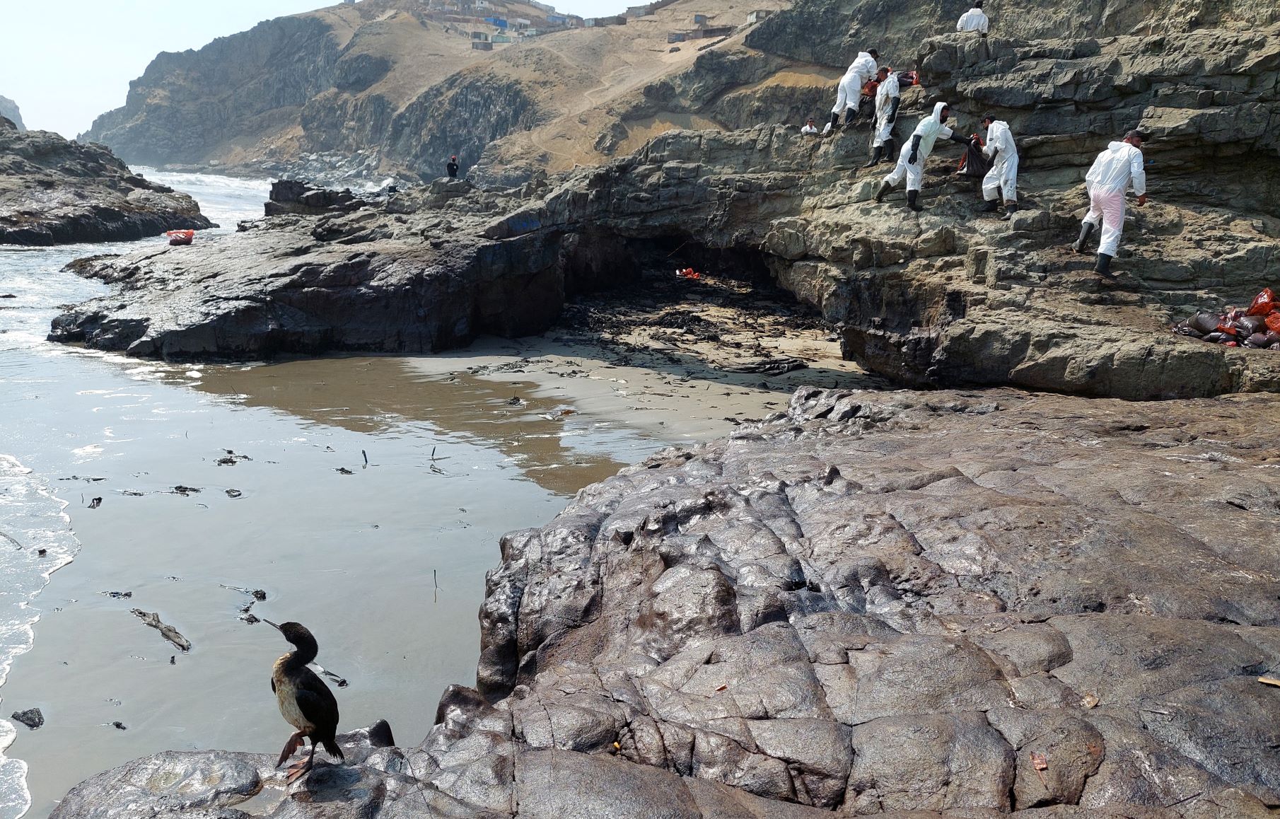 Tragedia ambiental en Perú por derrame de petróleo.