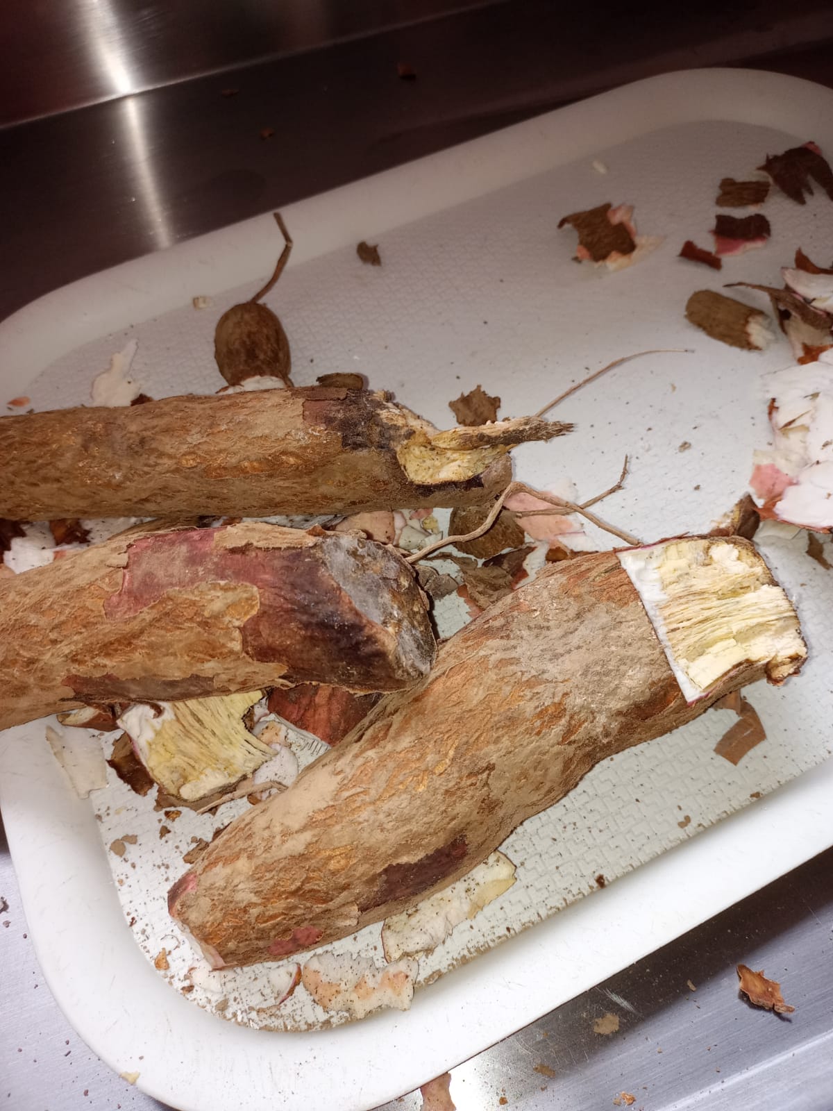 Comida en mal estado del PAE en Íquira, Huila.