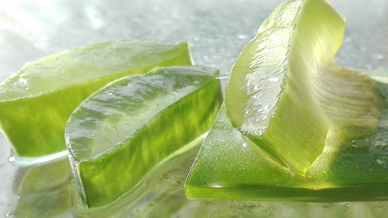 Aloe vera Aloe vera