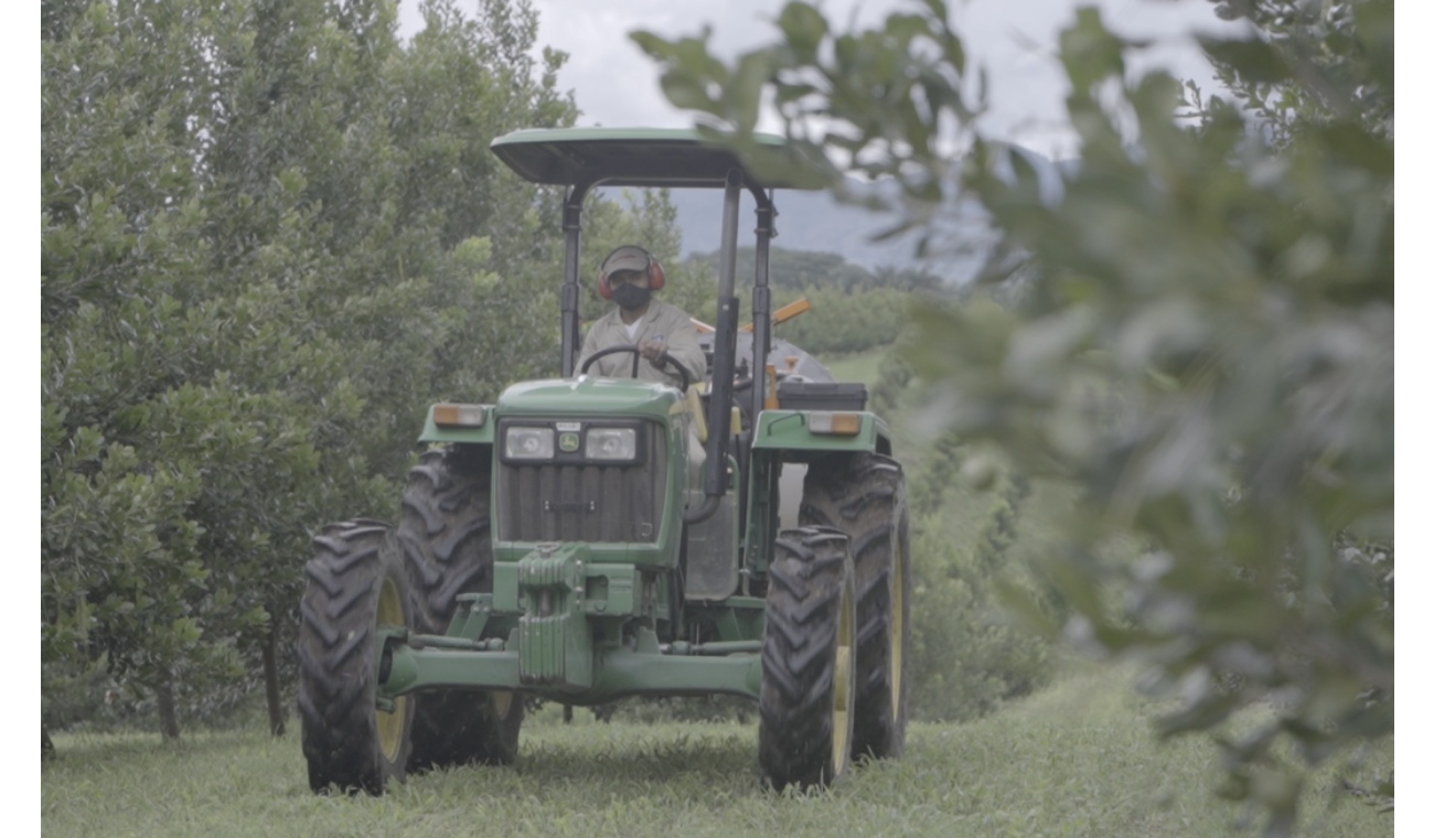 Alpina trabaja con el campo colombiano para garantizar la calidad de la leche