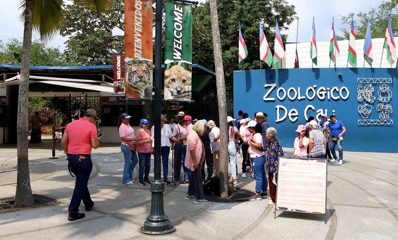 Majestuosos animales en el zoológico de Cali Majestuosos animales en el zoológico de Cali