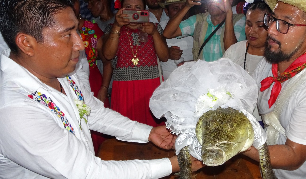 Victor Hugo Sosa, alcalde de San Pedro Huamelula, se casa con un caimán