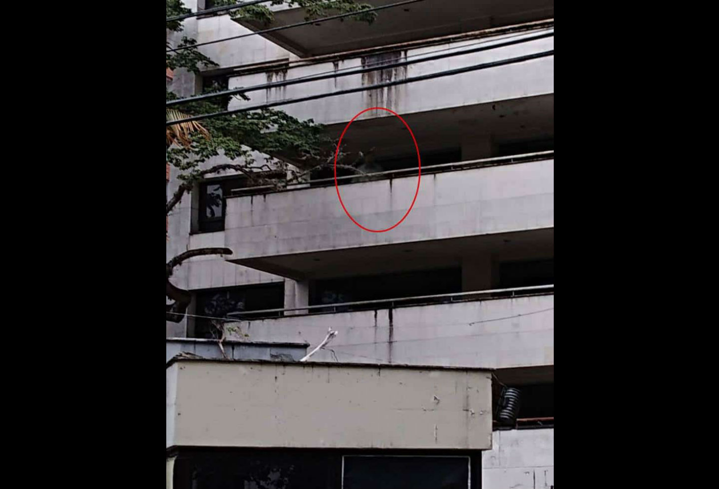 Fantasma de Pablo Escobar en Medellín Fantasma de Pablo Escobar en Medellín