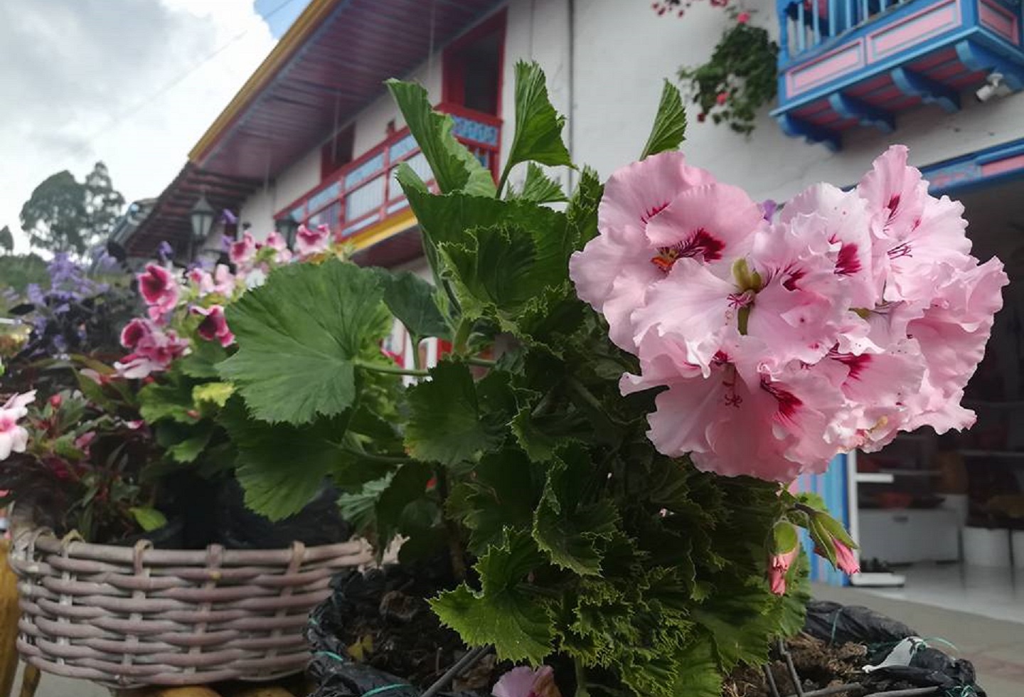 Salento, Quindío Salento, Quindío