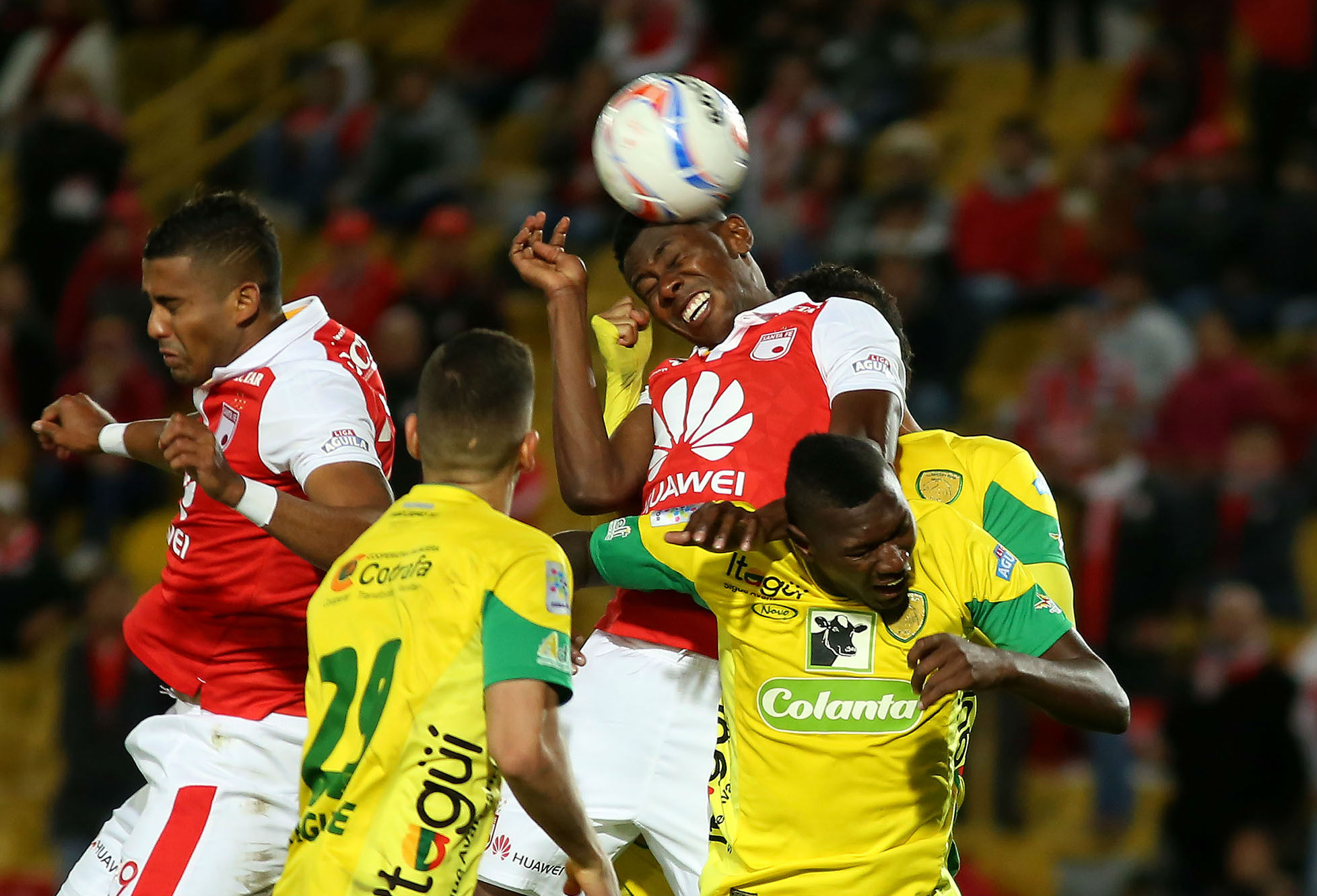 Partido Santa Fe vs Leones Partido Santa Fe vs Leones