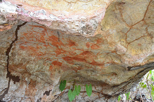 Serranía La Lindosa Serranía La Lindosa