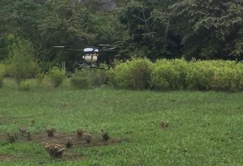 Dron con glifosato Dron con glifosato